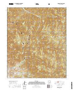 Domingo Peak 2020 topographic map thumbnail
