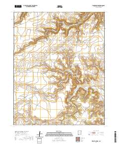 Fiddler Springs 2020 topographic map thumbnail