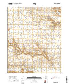 Four V Ranch 2020 topographic map thumbnail