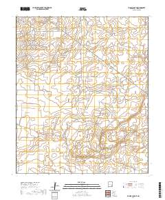 Illinois Camp NE 2020 topographic map thumbnail