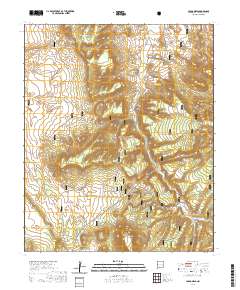 Largo Mesa 2020 topographic map thumbnail