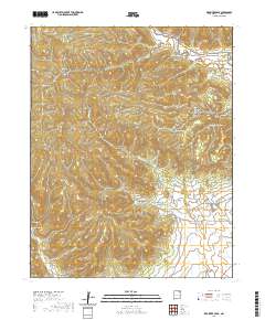 Red River Peak 2020 topographic map thumbnail