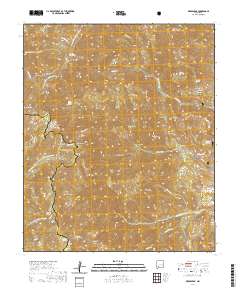Reeds Peak 2020 topographic map thumbnail