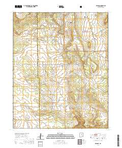 Rencona 2020 topographic map thumbnail