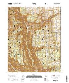 Navajo Peak 2020 topographic map thumbnail