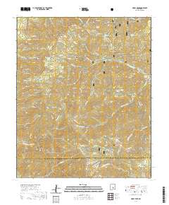 Nogal Peak 2020 topographic map thumbnail