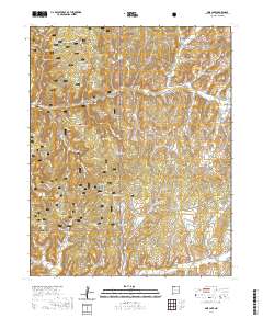 Pine Lake 2020 topographic map thumbnail
