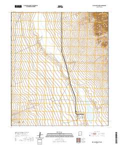 Playas Lake South 2020 topographic map thumbnail