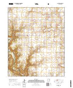 Mills West 2020 topographic map thumbnail