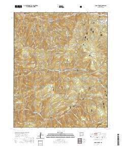 Shady Brook 2020 topographic map thumbnail