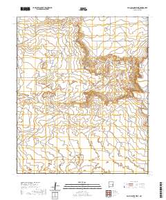 San Juan Mesa West 2020 topographic map thumbnail