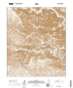 Singer Lake 2020 topographic map thumbnail