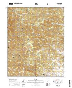 Tajique 2020 topographic map thumbnail