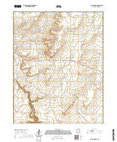 Taylor Springs 2020 topographic map thumbnail