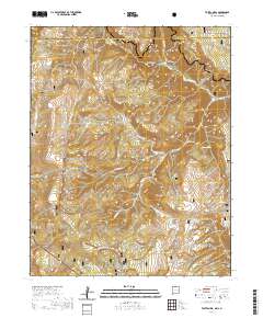 Toltec Mesa 2020 topographic map thumbnail