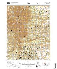 Abajo Peak 2020 topographic map thumbnail
