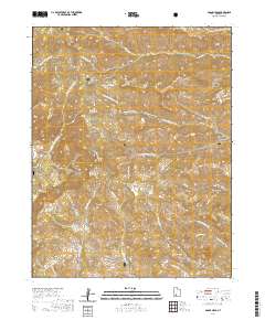 Adams Head 2020 topographic map thumbnail