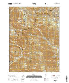 Brighton 2020 topographic map thumbnail
