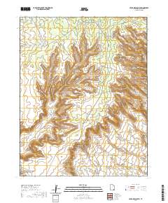 Cedar Mesa South 2020 topographic map thumbnail