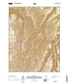 Chicken Fork 2020 topographic map thumbnail