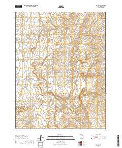 Dry Mesa 2020 topographic map thumbnail