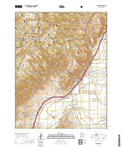 Elsinore 2020 topographic map thumbnail