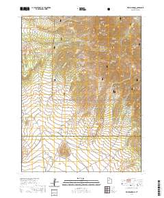 Erickson Knoll 2020 topographic map thumbnail