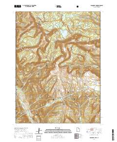 Grandaddy Lake 2020 topographic map thumbnail