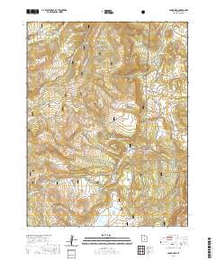 Johns Peak 2020 topographic map thumbnail