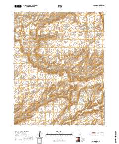 Mancos Mesa 2020 topographic map thumbnail