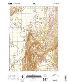 Lake Ridge 2020 topographic map thumbnail