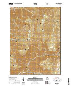 Logan Peak 2020 topographic map thumbnail