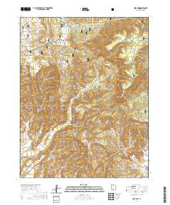 Pine Lake 2020 topographic map thumbnail