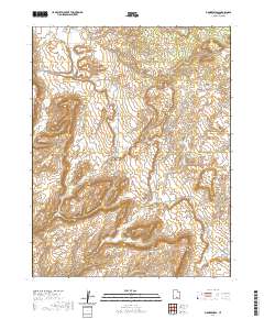 Pioneer Mesa 2020 topographic map thumbnail