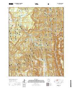Posy Lake 2020 topographic map thumbnail
