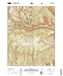 Ray Mesa 2020 topographic map thumbnail