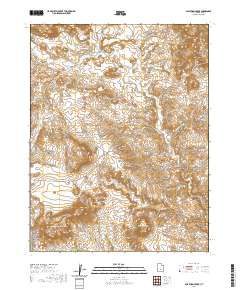 Salvation Creek 2020 topographic map thumbnail