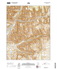 Springdale East 2020 topographic map thumbnail