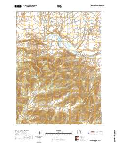 Swallow Canyon 2020 topographic map thumbnail