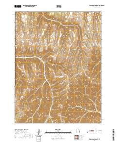 Tenmile Canyon South 2020 topographic map thumbnail