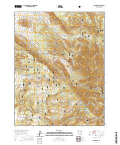 Warner Lake 2020 topographic map thumbnail