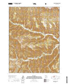 Wood Canyon 2020 topographic map thumbnail