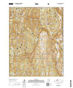 Woods Lake 2020 topographic map thumbnail