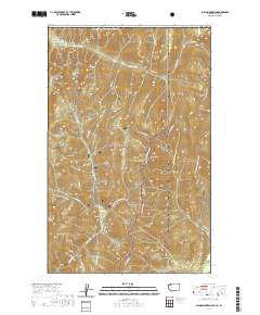 Salmo Mountain 2020 topographic map thumbnail