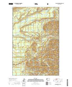 Salmon River East 2020 topographic map thumbnail