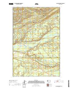 Salmon River West 2020 topographic map thumbnail