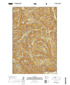 Sauk Mountain 2020 topographic map thumbnail