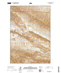 Selah Springs 2020 topographic map thumbnail