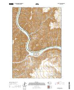 Silcott Island 2020 topographic map thumbnail