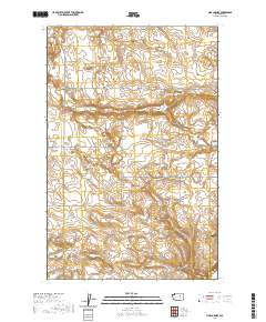 Sims Corner 2020 topographic map thumbnail